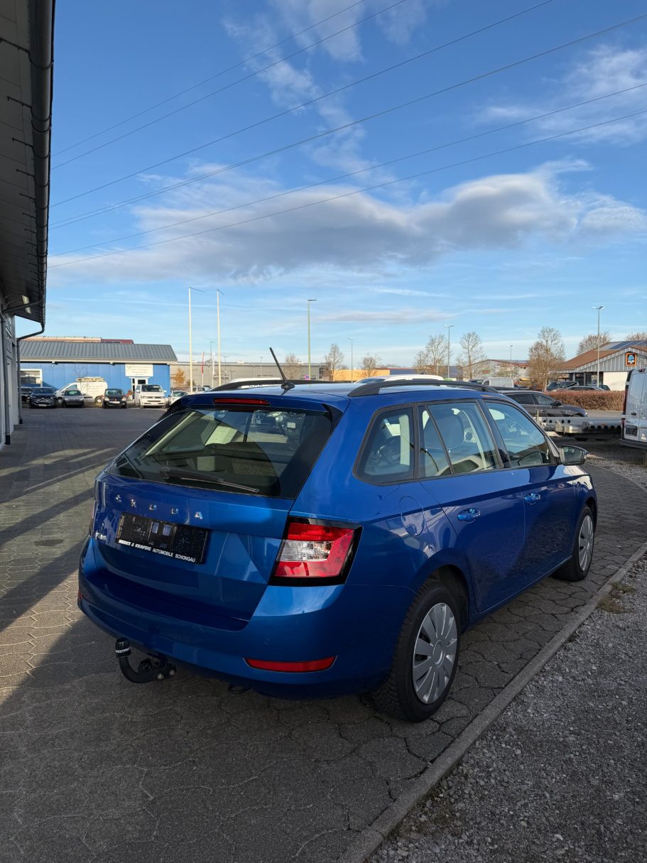 Skoda Fabia Lackpflege